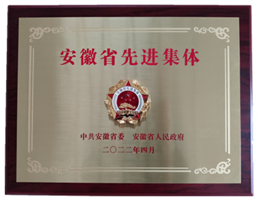 喜報(bào)省級(jí)表彰！熱烈祝賀安徽盛世新能源材料科技有限公司榮獲 “安徽省先進(jìn)集體”